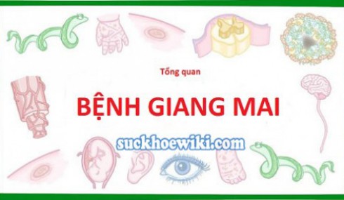 Bệnh giang mai là gì? Dấu hiệu và cách điều trị