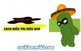 Bệnh trĩ nội độ 1 và cách chữa trị hiệu quả