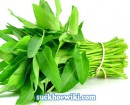 Cách chữa bệnh trĩ bằng rau muống vô cùng đơn giản