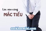 Lúc nào cũng có cảm giác buồn tiểu là bị bệnh gì?