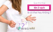 Que thử thai 2 vạch có phải có thai không? hình ảnh minh họa